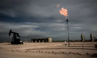 1fa9fb4d F3d6 4e79 Be20 3dbb94702b9b