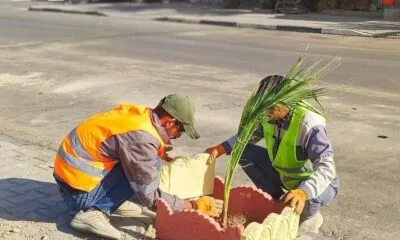 5050ab0e A6cf 4f76 B121 D0dd98561ae1