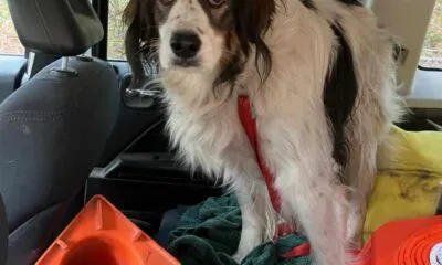 549e8036 1262 44e4 8249 3101cb981283