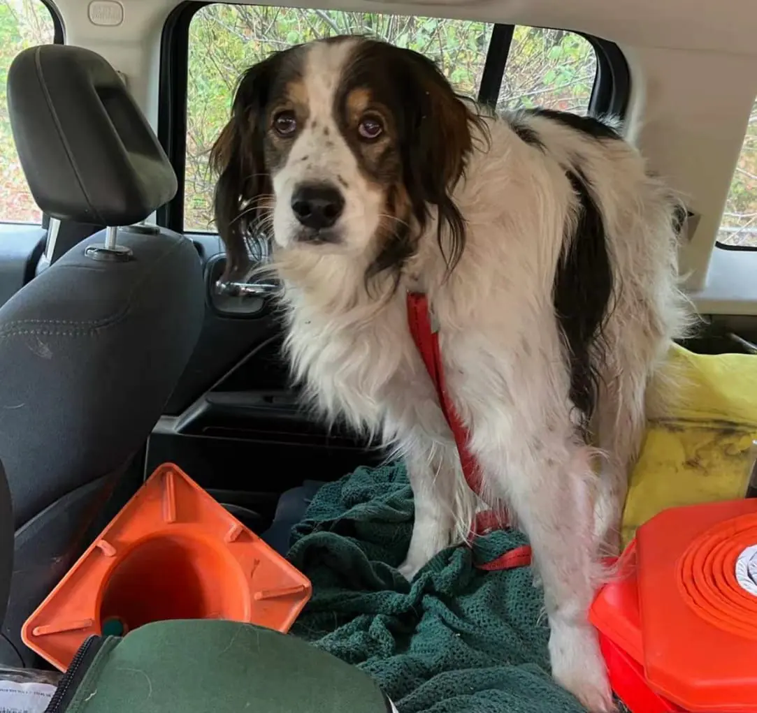 549e8036 1262 44e4 8249 3101cb981283