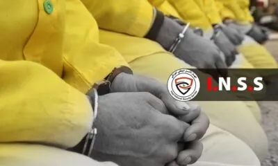 62facda0 5382 4125 B56d 4895b44333e8