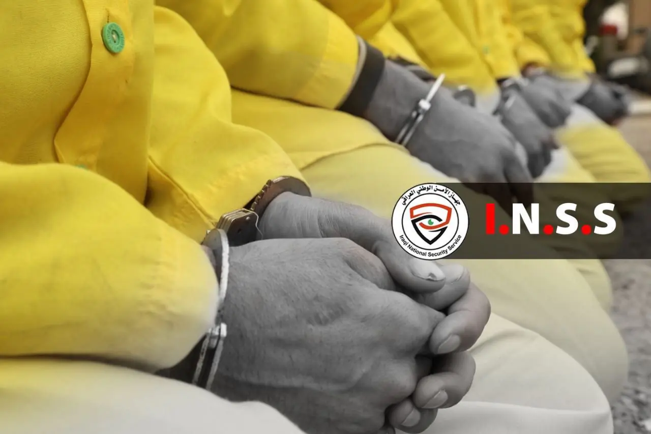 62facda0 5382 4125 B56d 4895b44333e8