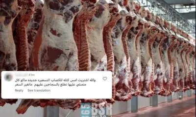 7bc02675 Ae88 4a25 8bb3 Aa3bbc3411a0