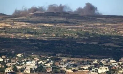 8b287472 226c 44bf 8661 D1fa71bb3eac