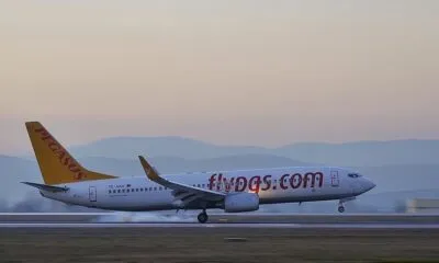 A85f2313 1fe0 4a68 Bc46 157b9a01fc9b