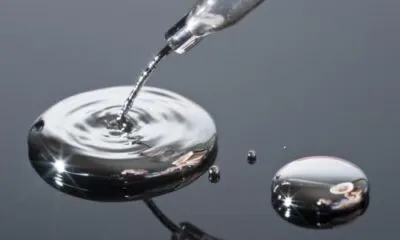 D9a55565 4479 4903 80eb Dd0309139470