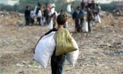 Eb07fff1 E965 484a 996e Cea2e267ef30