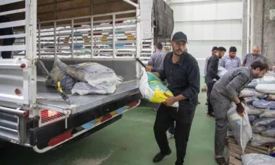 F7d055d0 4e9b 451d A53e 1eab1af40323