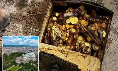 335ae828 1cb6 4d32 B5a6 8f2bec898c65