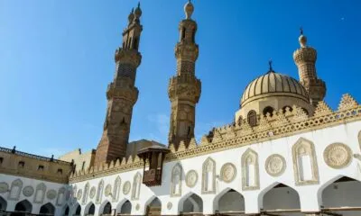 39a909ca 332c 4a39 A5c6 20548ed2d8c9