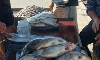 6a7fd85d 10c7 4fe0 9963 7ea37f09acb5