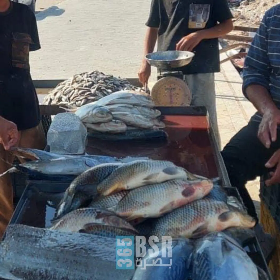 6a7fd85d 10c7 4fe0 9963 7ea37f09acb5