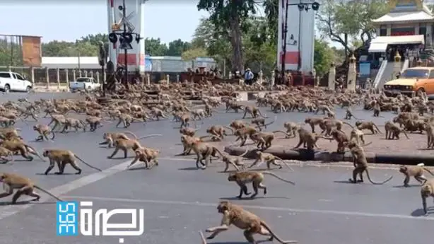 IMG 20241119 WA0328 1