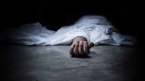 IMG 20241125 WA0088 1