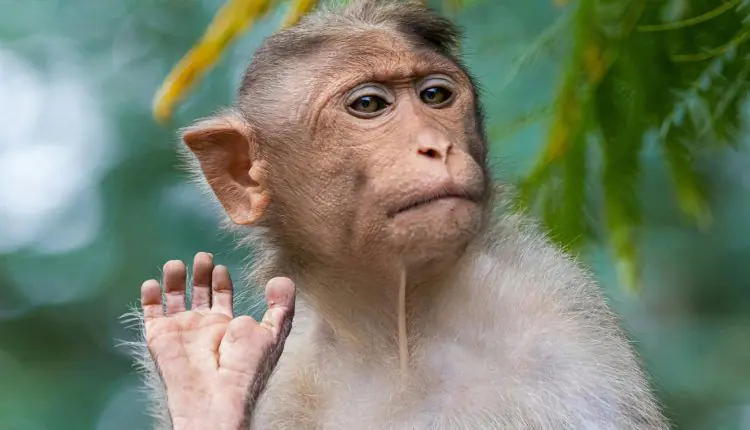 WhatsApp Image 2024 11 08 At 1.51.17 PM