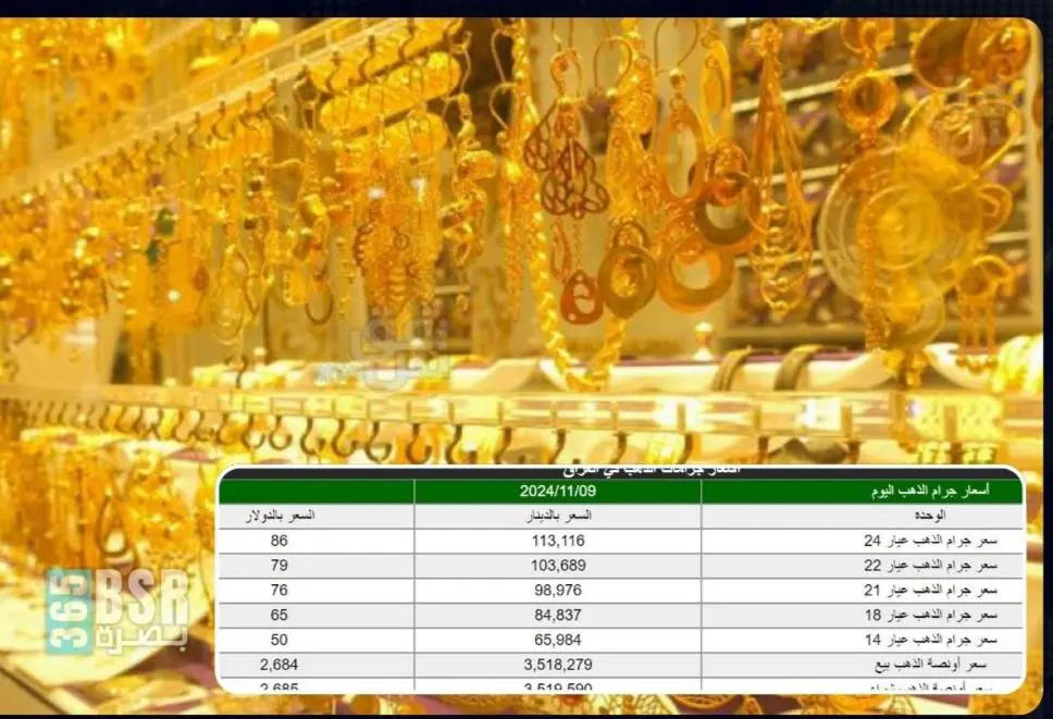 WhatsApp Image 2024 11 09 At 9.44.42 AM