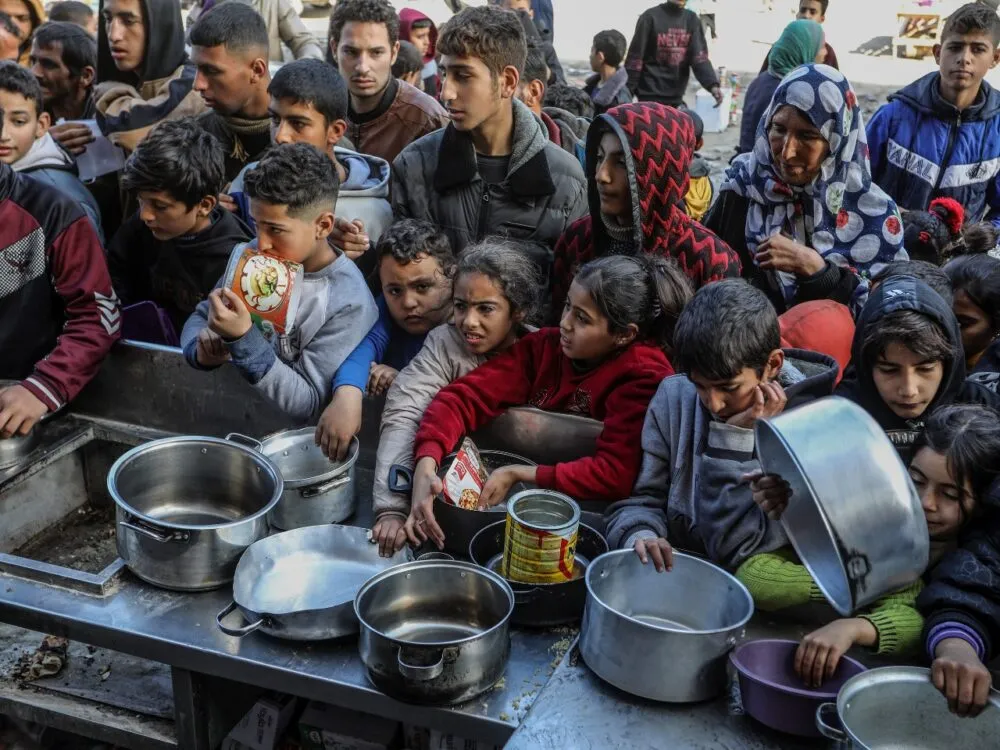 WhatsApp Image 2024 11 10 At 2.50.48 PM