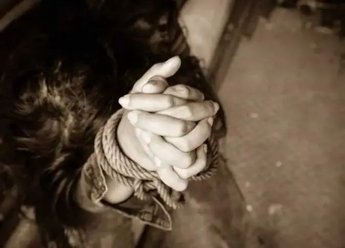 WhatsApp Image 2024 11 11 At 3.31.57 PM