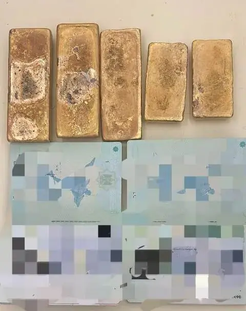 WhatsApp Image 2024 11 12 At 5.29.05 PM