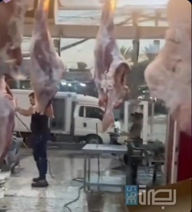 Cff3d18d 475f 462b 8643 97bb298bfff0