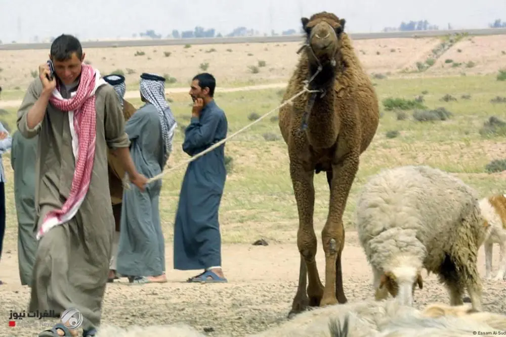 D042c6e5 376f 4d7e Ac03 8a8347981d2d