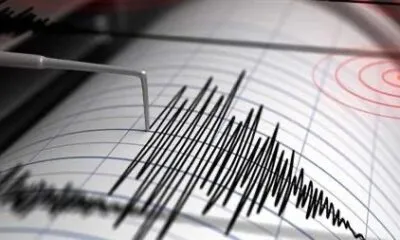 E1e98c75 103c 4ec6 976b 3da00ad0e84a