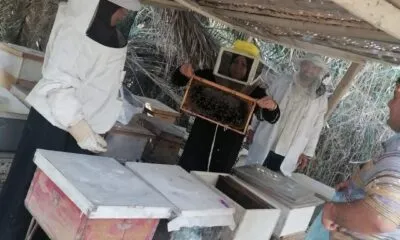 005ced04 C30d 493e 8329 4c4d27ceec1a