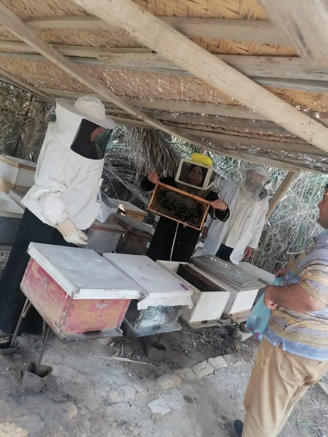 005ced04 C30d 493e 8329 4c4d27ceec1a