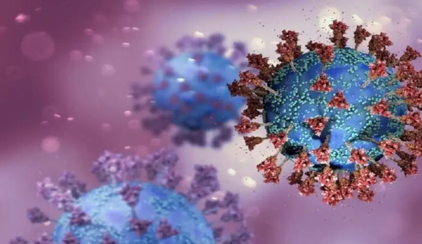 0277c87d B552 455f 87b0 833948d6e01f