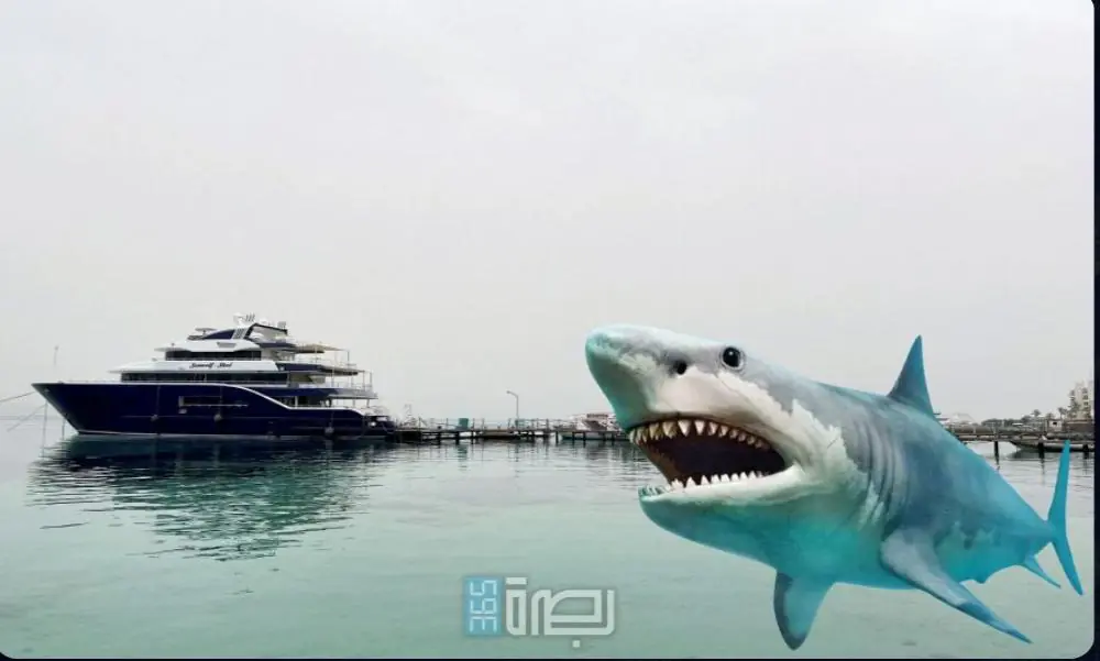 274b5876 97aa 41f5 B929 754802f78221