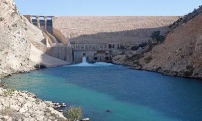 31ef4034 43f5 4bf2 Af05 6206e95bcf3d