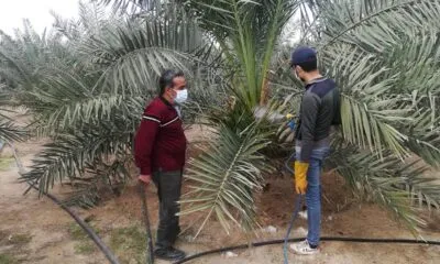 4c61423e Bd4e 4c17 9063 B61f97402815