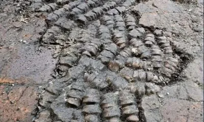 5061bb03 2efe 4123 Ae9a B2220d7a0eb0