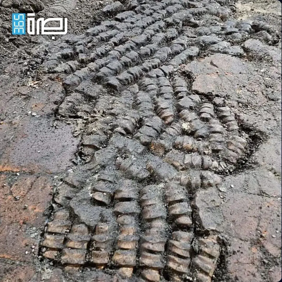 5061bb03 2efe 4123 Ae9a B2220d7a0eb0