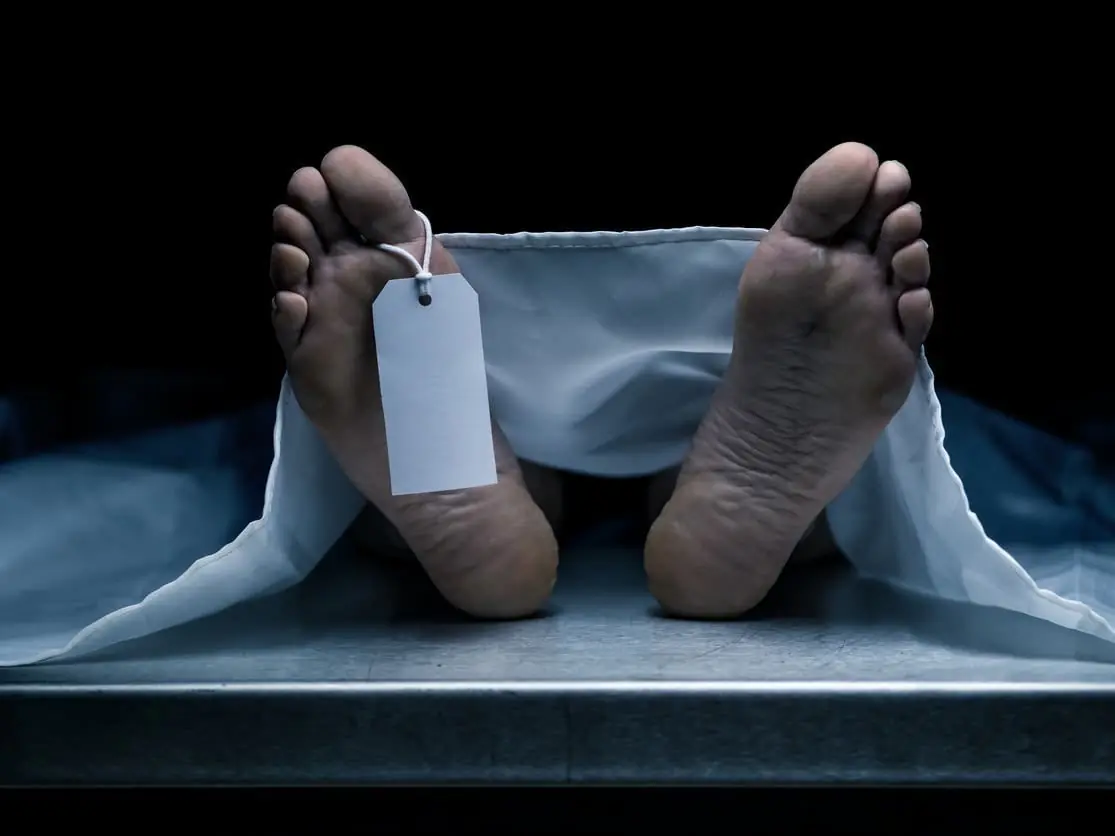 6859d9d7 C8d5 4dc4 A745 185fb3924573