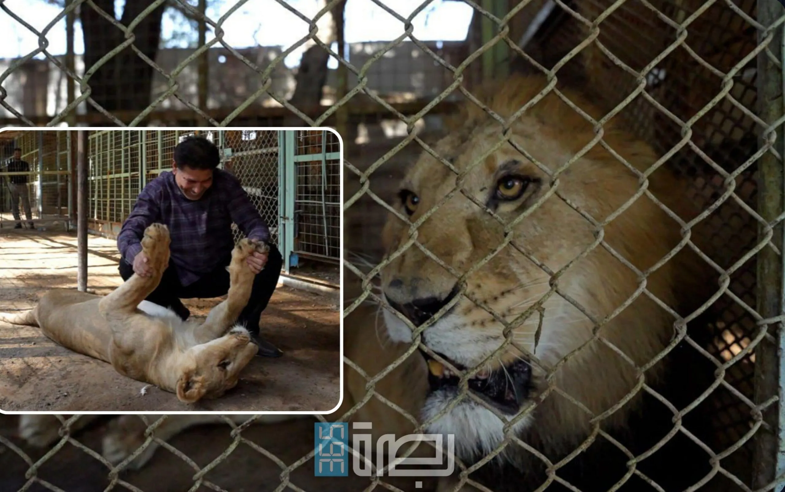 IMG 20241215 WA0490 Scaled