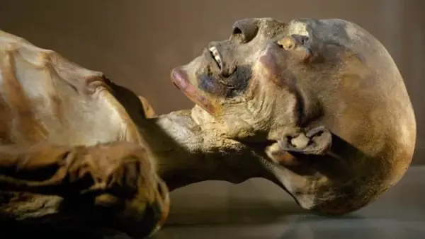 E2f47280 001f 4718 Aaf9 1eabb62aa3a3