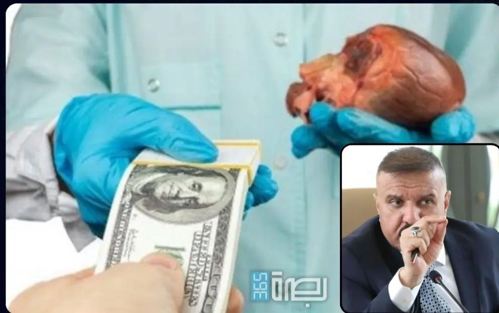 F66e86d2 78c2 49a2 Aa04 8dffab38f7cd