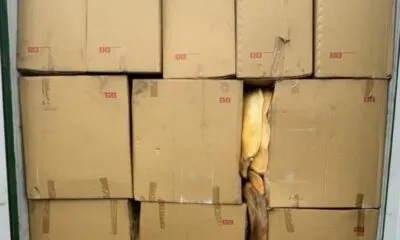 1b7a23de A149 4c58 Abfa 46ebdc4145a6