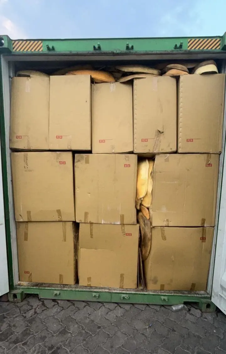 1b7a23de A149 4c58 Abfa 46ebdc4145a6