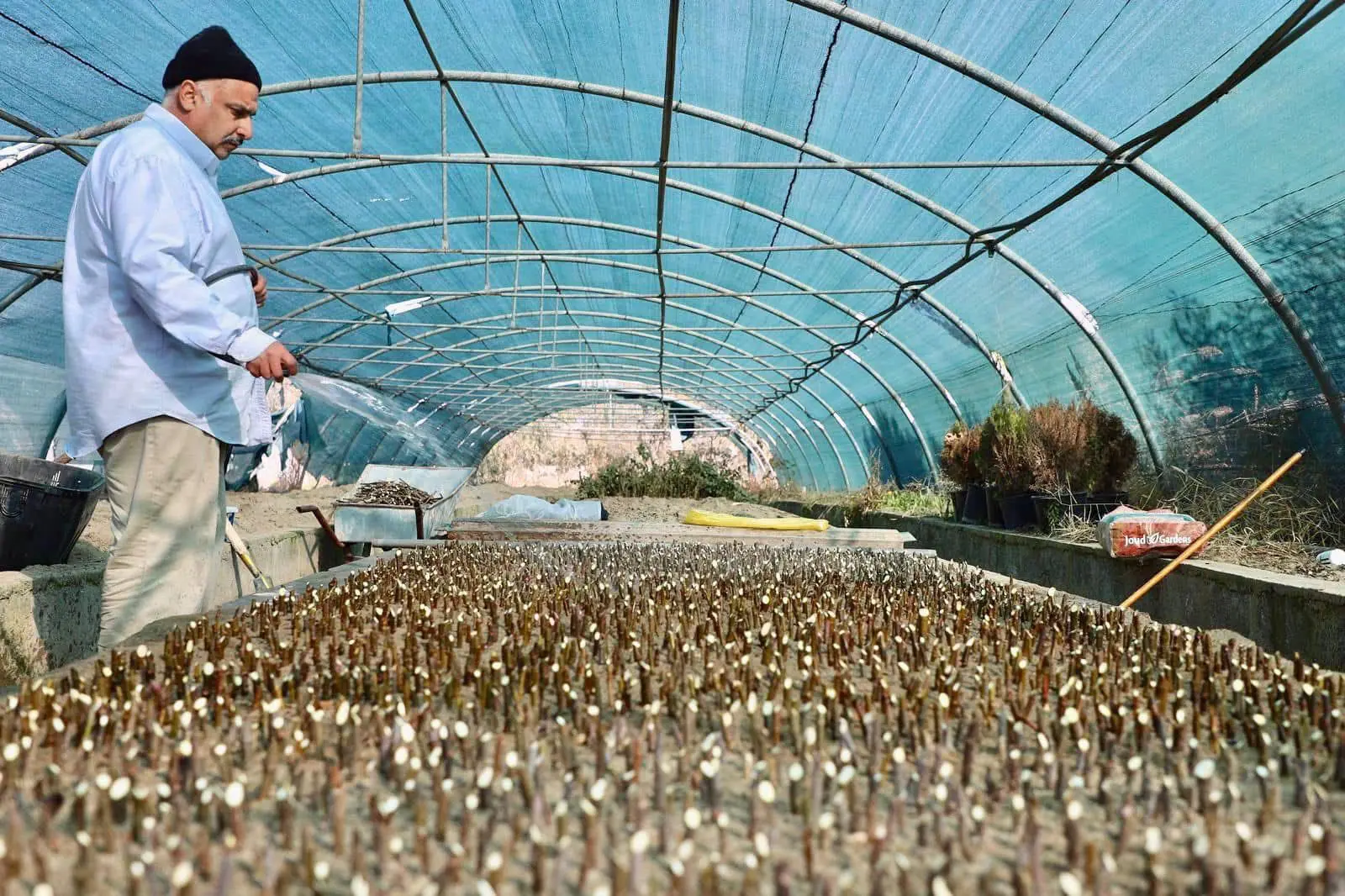 40f63a9e 5e20 4c8f 834f 982f9af8ce64