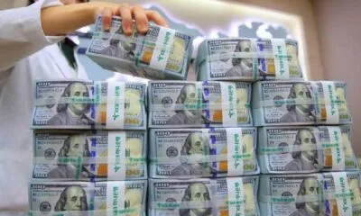 6f249895 0073 44c9 Ba8a 43644341dd63