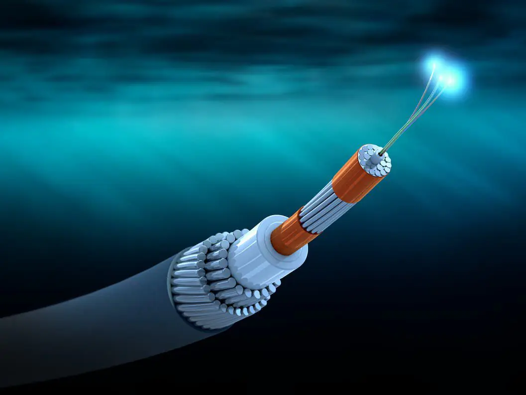 IMG 20250109 WA0222 1