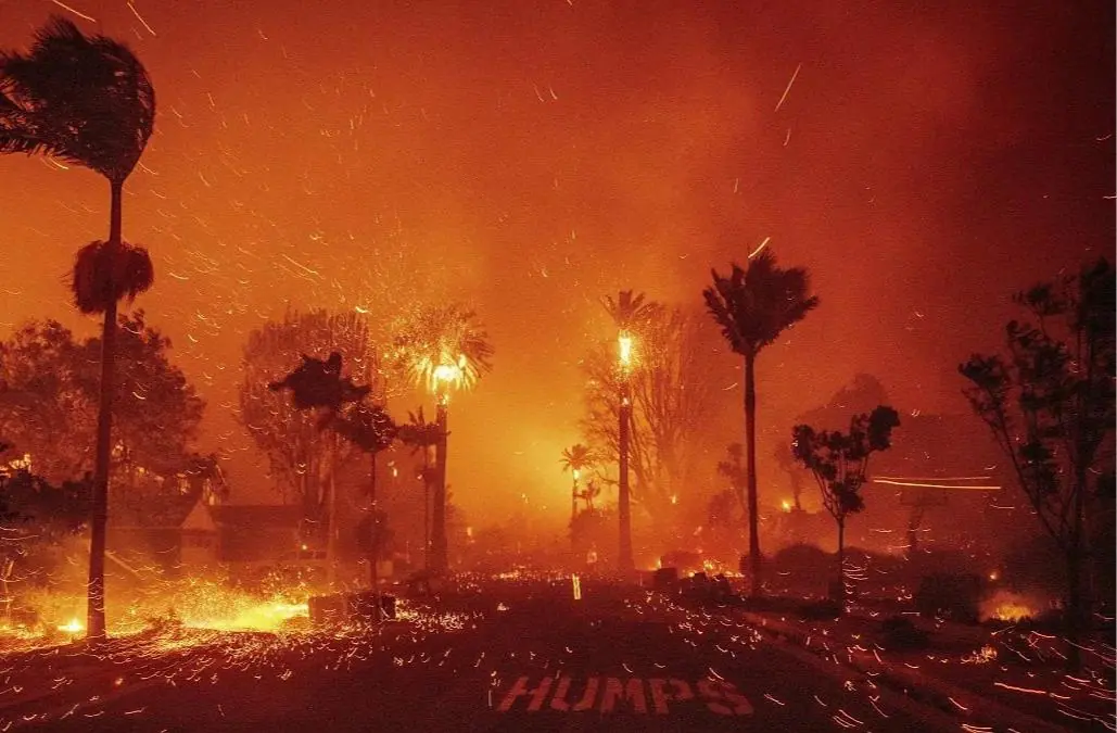 IMG 20250112 WA0034 1