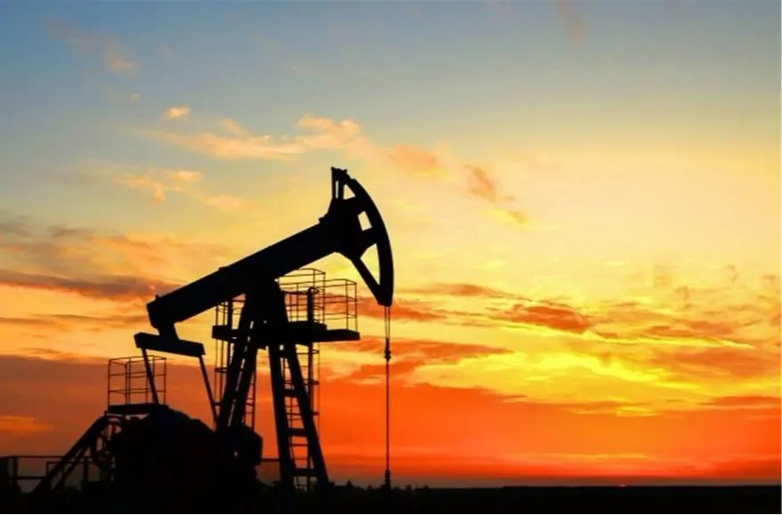 IMG 20250114 WA0031 1