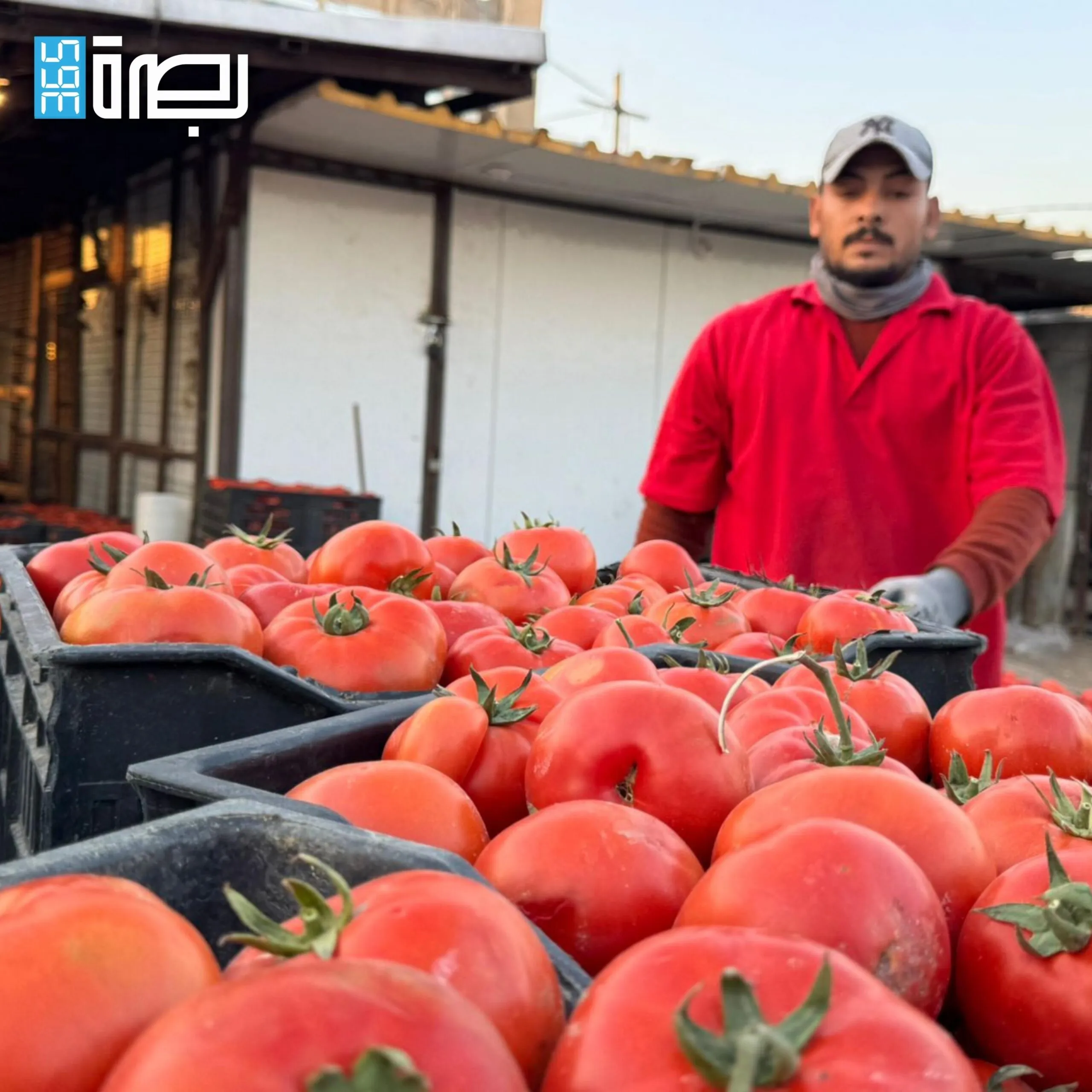 IMG 20250122 WA0132 Scaled