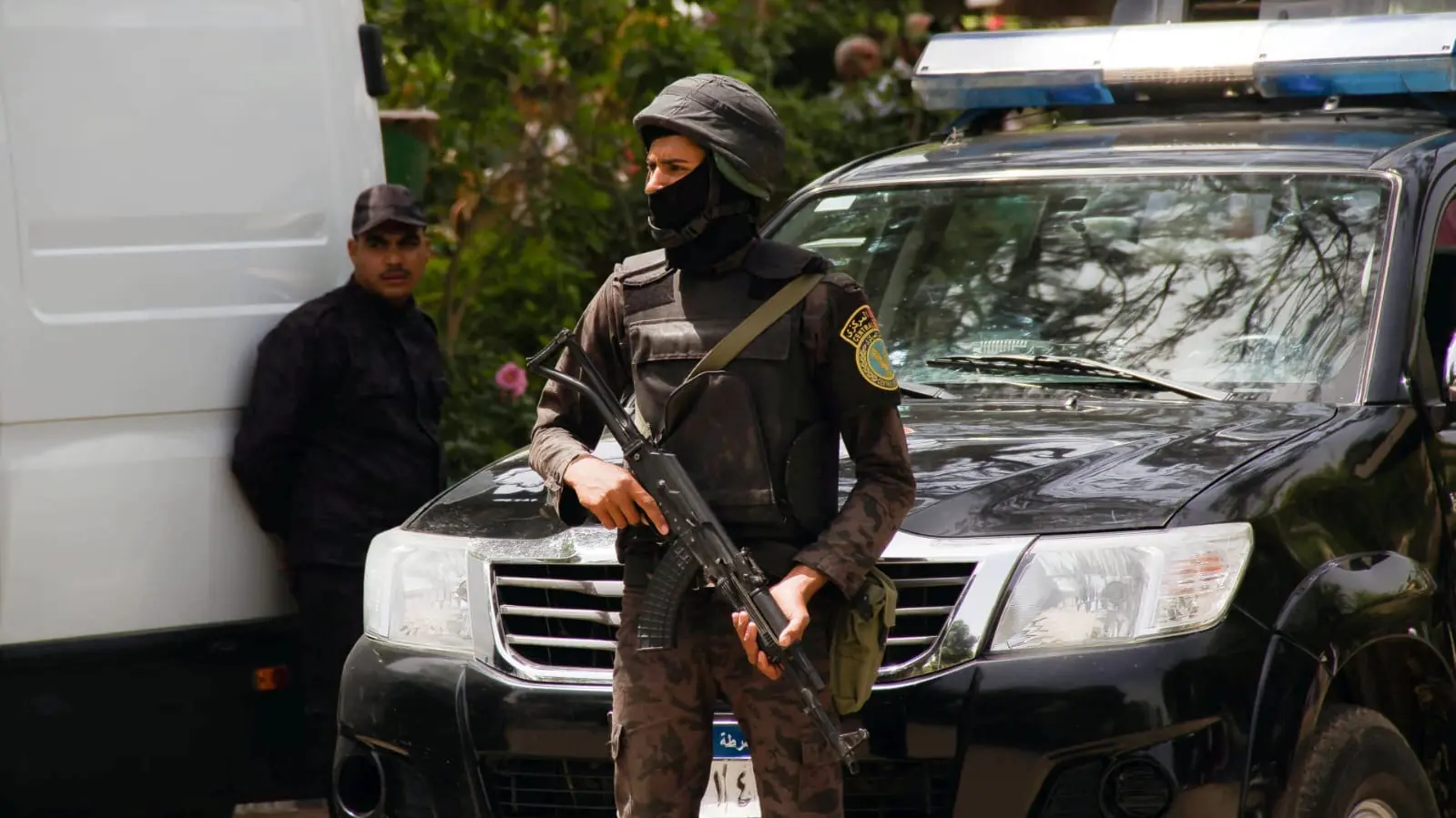 A7bf04fc Fa50 49c8 Aded Ca2615244b7d