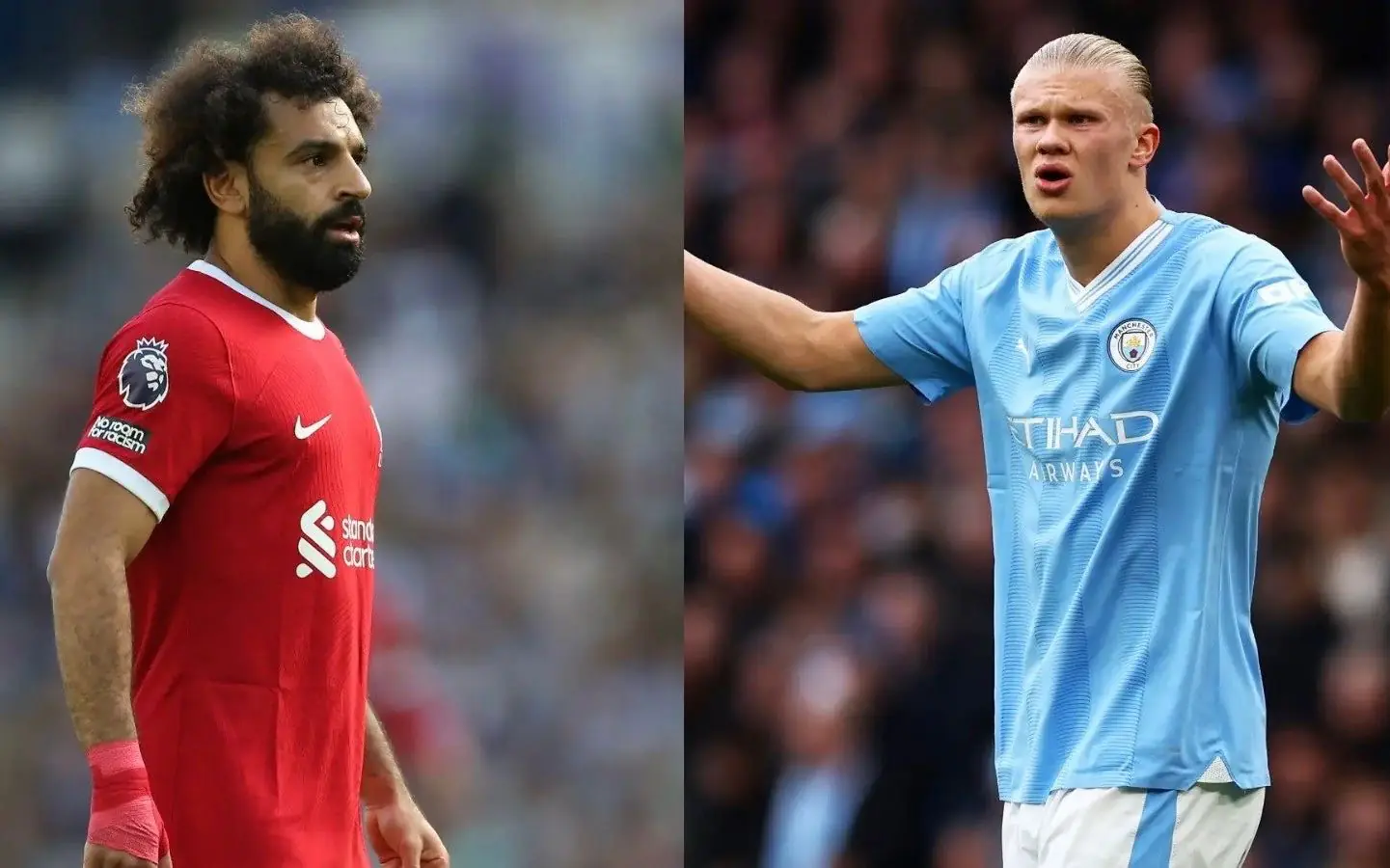 C6bfbf63 6d1d 45f2 Bcf5 Bb8b2c113bfe