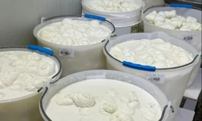 Cb0364d3 F463 47e0 81c7 625cc482dea6