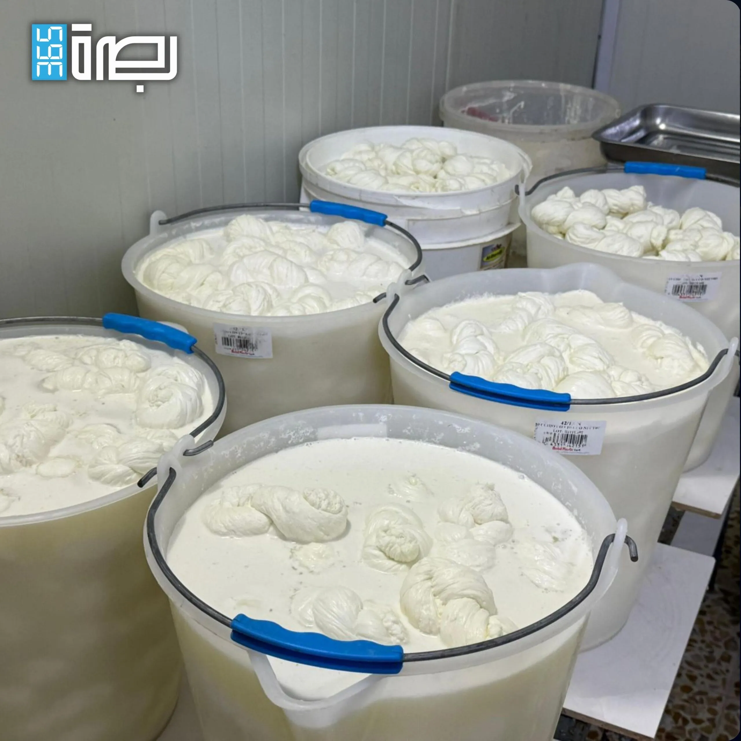 Cb0364d3 F463 47e0 81c7 625cc482dea6 Scaled